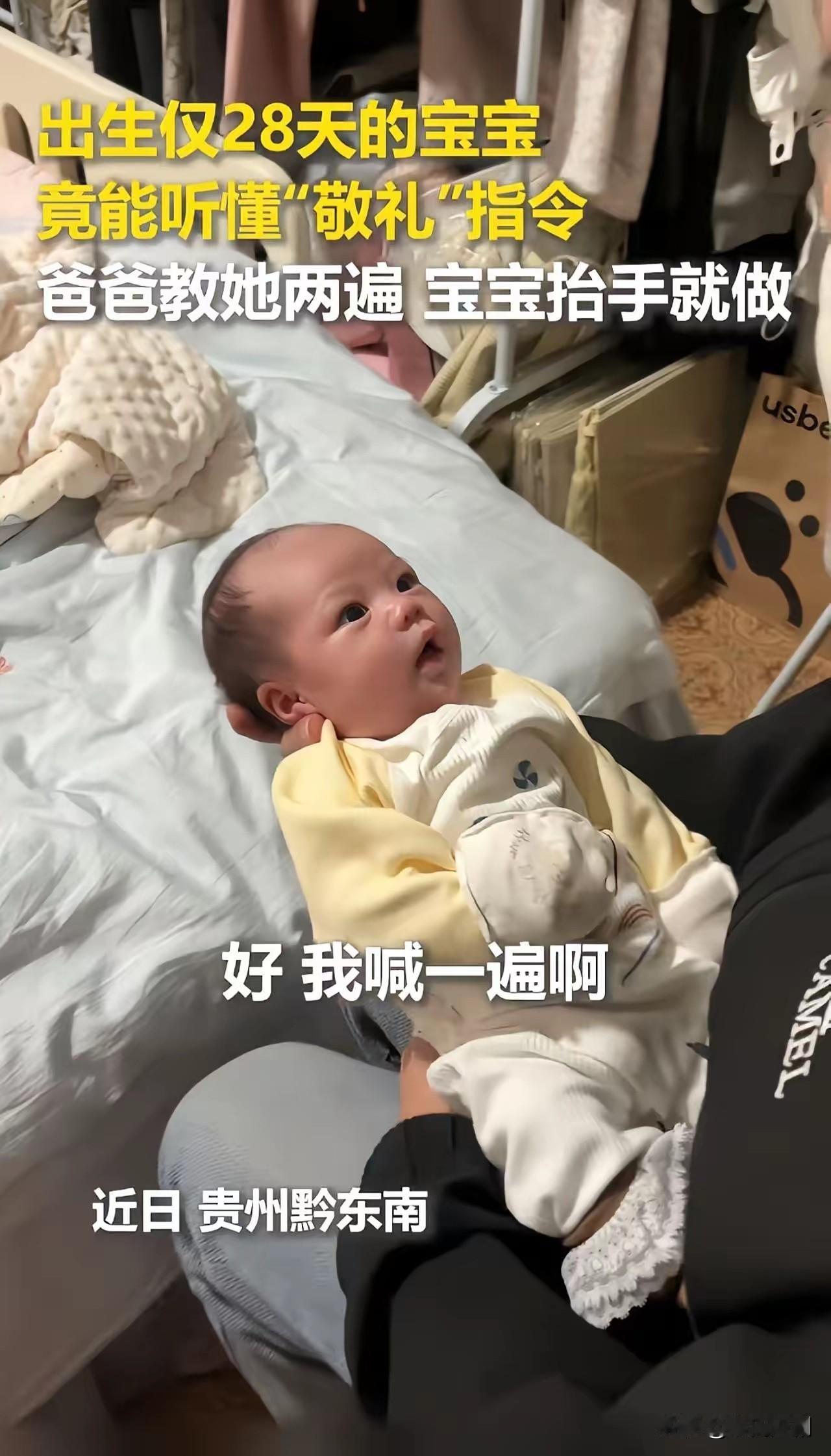 近日，一则惊人消息在网络上引发热议：贵州黔东南一名仅28天大的宝宝，竟能听懂“敬