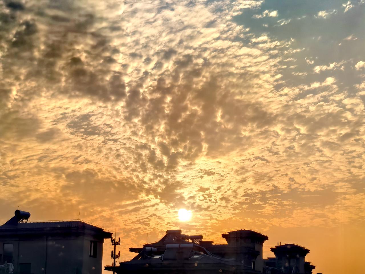 今日分享随手拍照片