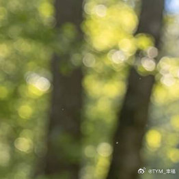 善良是一种修养，善待他人就是善待自己，要想得到别人的爱，首先要学会爱别人，一个善