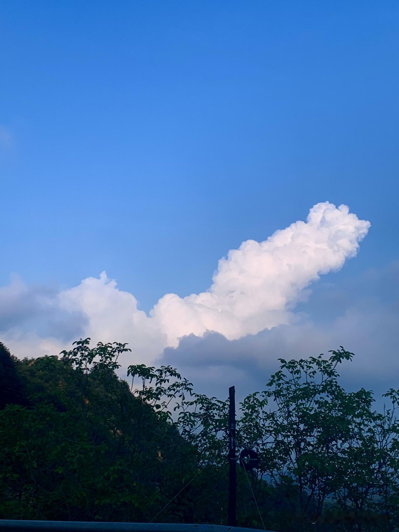 夏日生活打卡季又开始起云了，估计下午还有雨。随手拍