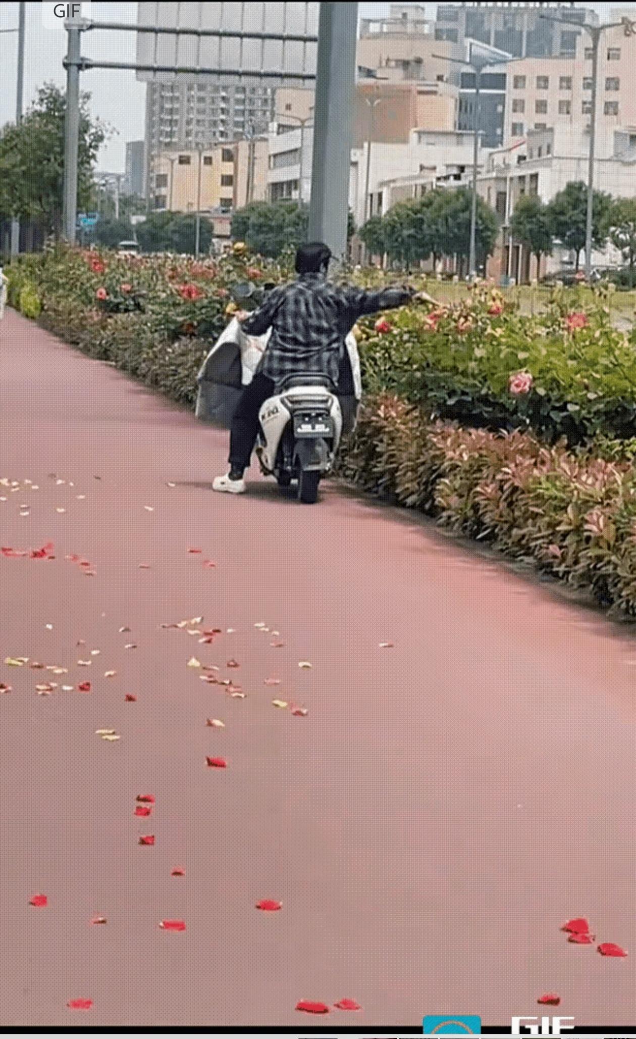 老太太骑车逆行，一路走一路摘花，摘下来就往地上扔！花瓣散落一地，她还心虚回头张望