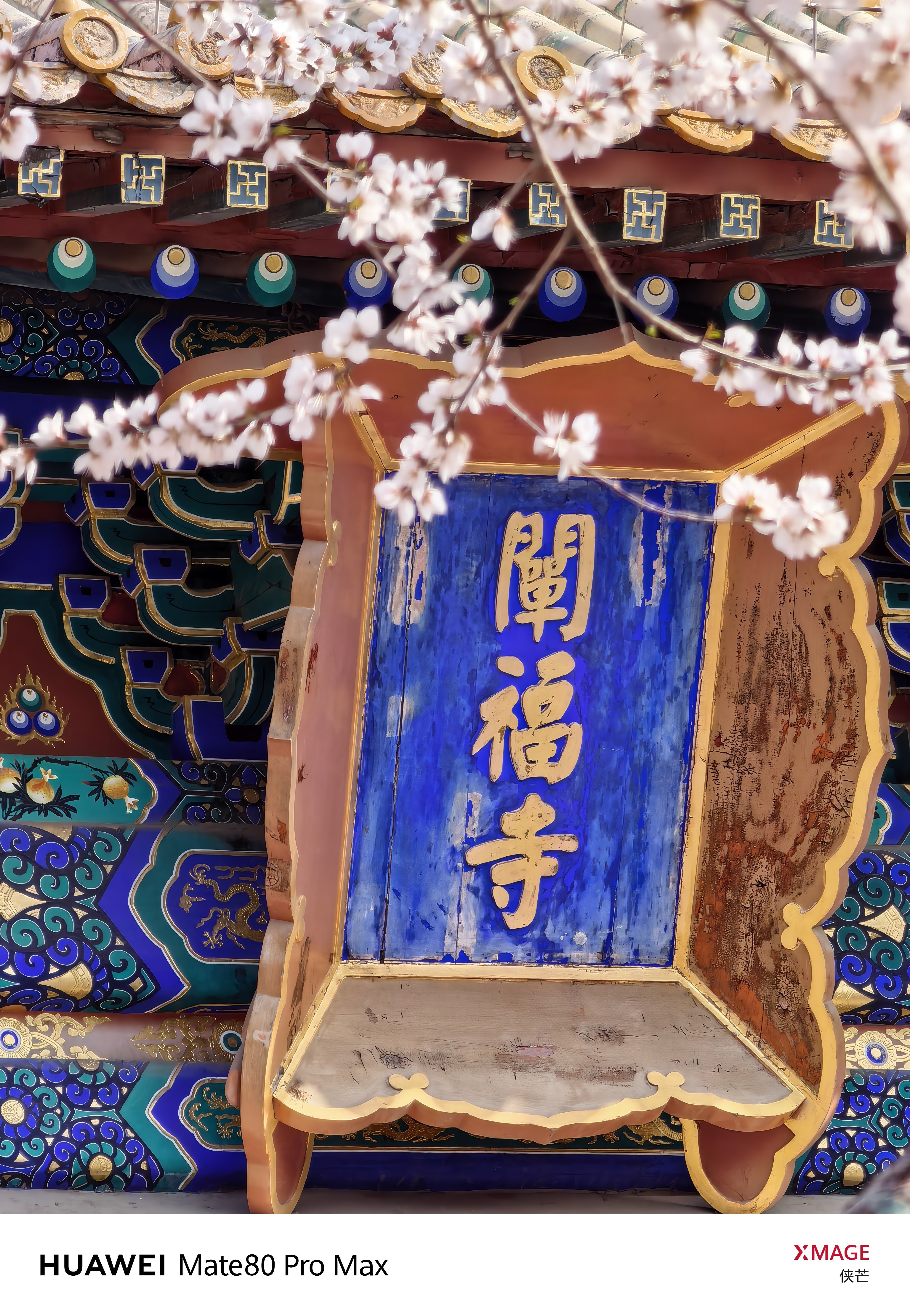 《春入阐福 花漫京城》        红墙映雪色，古寺藏春风。        檐