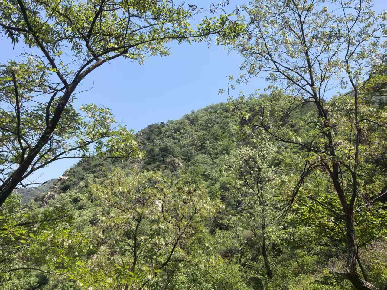 现在的造价行业都这么卷了么？
  昨天外出户外爬山，回家路上，一个长期合作的老板