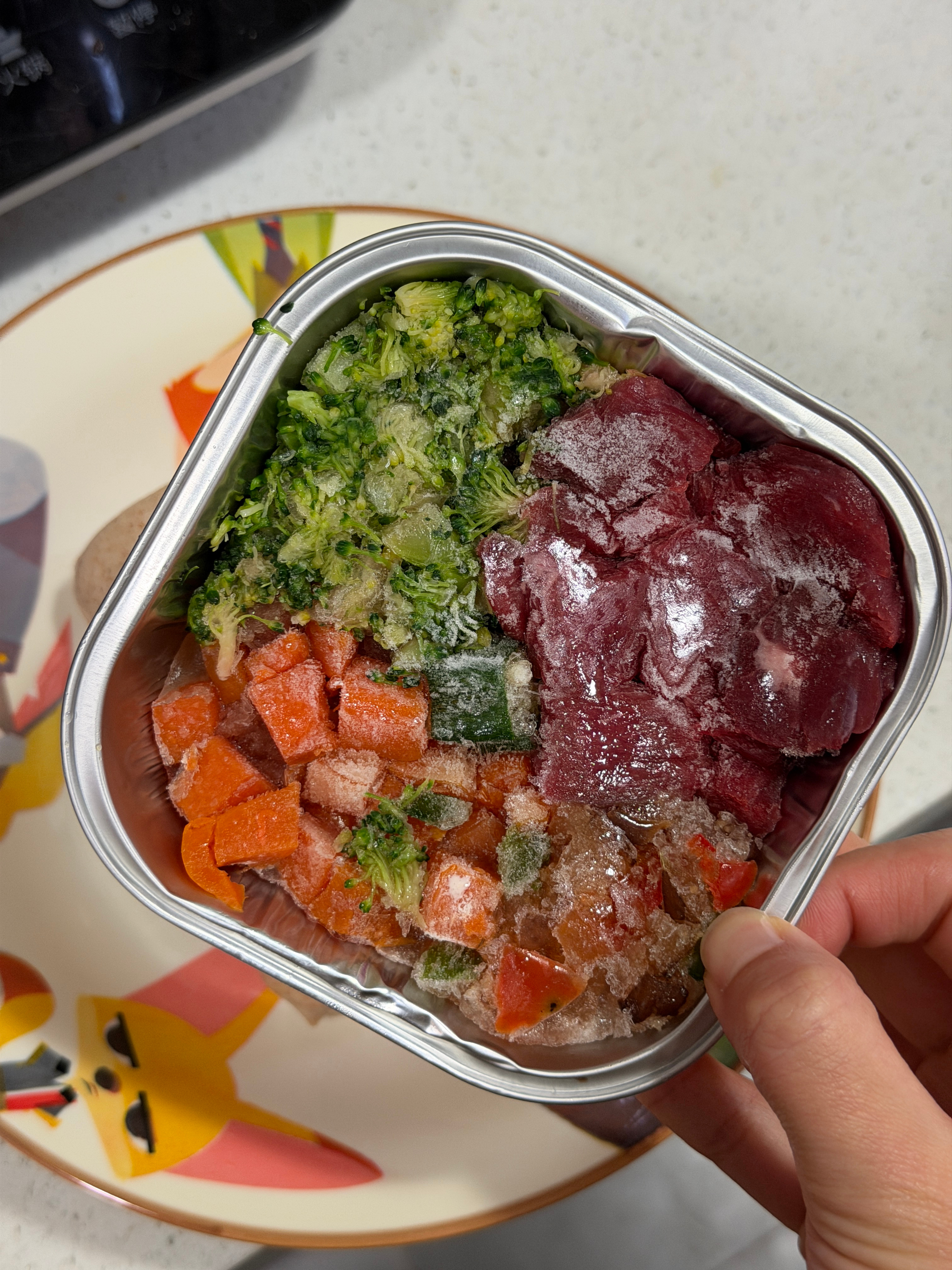 我的午饭vs小猫小狗的😅买到了一件绝世好马甲怎么能这么暖和又百搭 