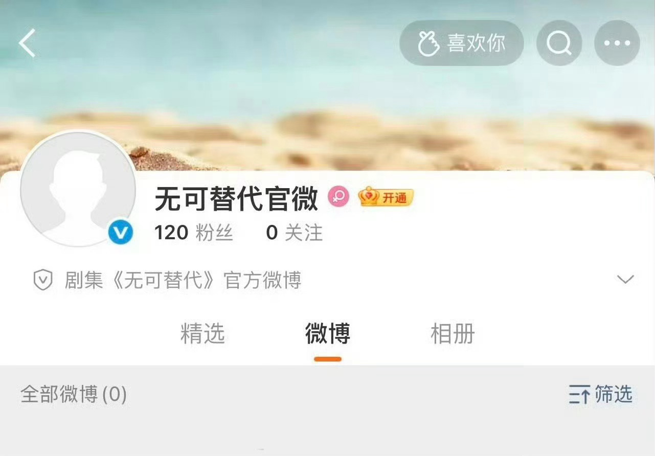 赵今麦、魏大勋都市职场剧《无可替代》开通官方账号 ​​​