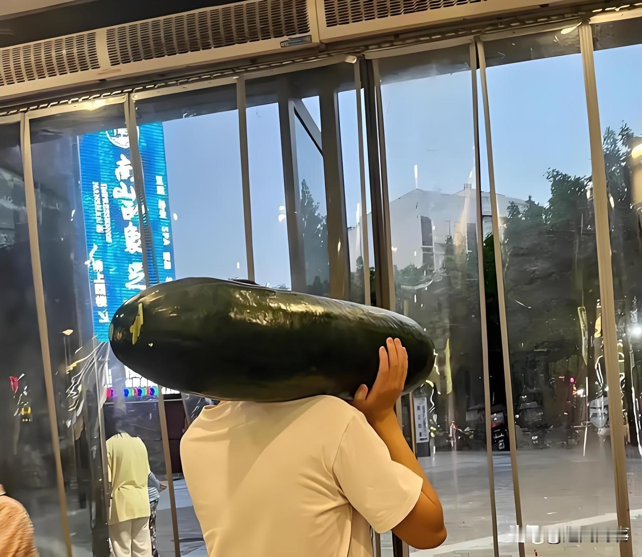 炎炎夏日防暑新招，抱着冬瓜睡觉！
最近我发现了个防暑的神操作，比凉席冰枕管用10