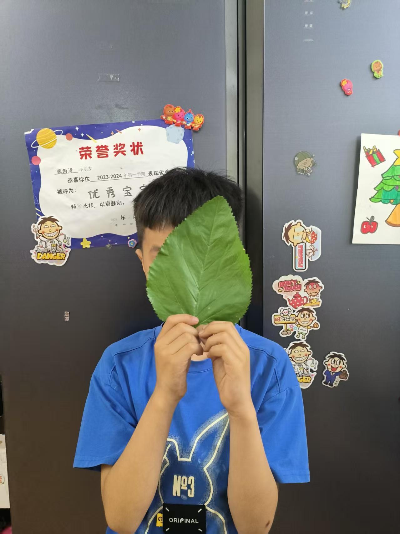 春蚕生命轨迹感悟

我家窗台上那个透明盒子里，藏着小孙孙的宝贝秘密。

初春的晨