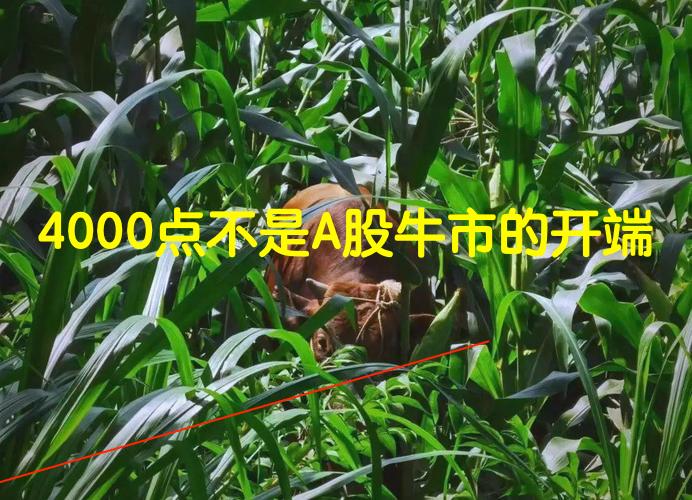 亟需审视4000点上方潜藏的中长期风险！众所周知，A股长期以中小投资者为主体，情