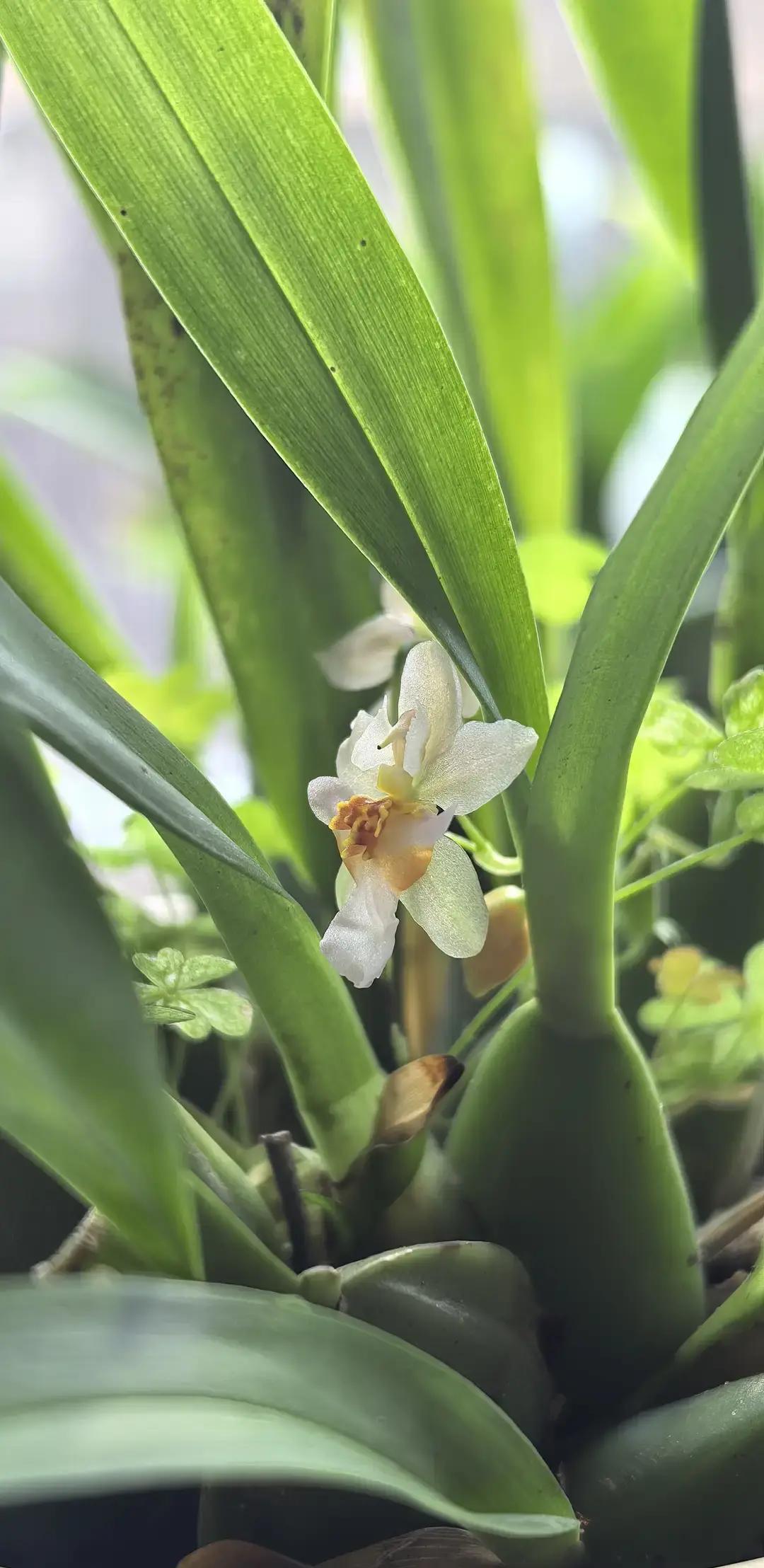 闺女和几个同学小聚，其中一位男同学一年前从国外过来照顾生病的妈妈，他最近准备回去