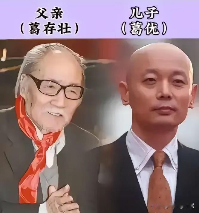 演艺圈的父子传承：光环易得，口碑难寻

圈内有不少这样的父子，父辈用一生耕耘，在