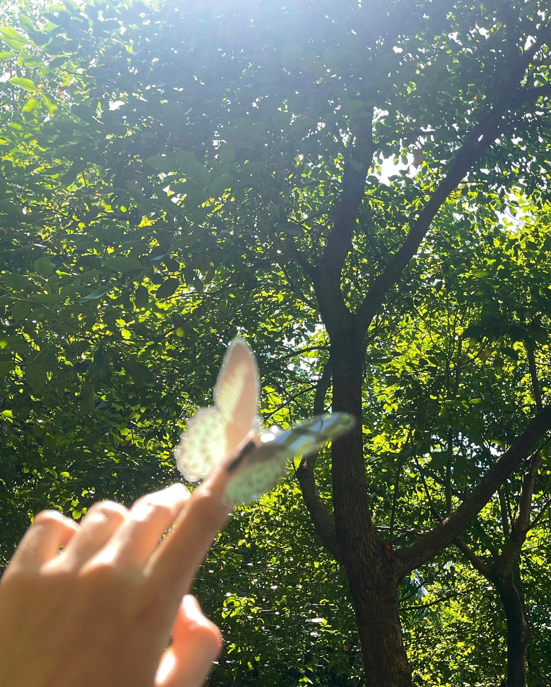 live图的意义像给照片赋能静态照片留住瞬间，live图锁住动态气息，眨眼、微风