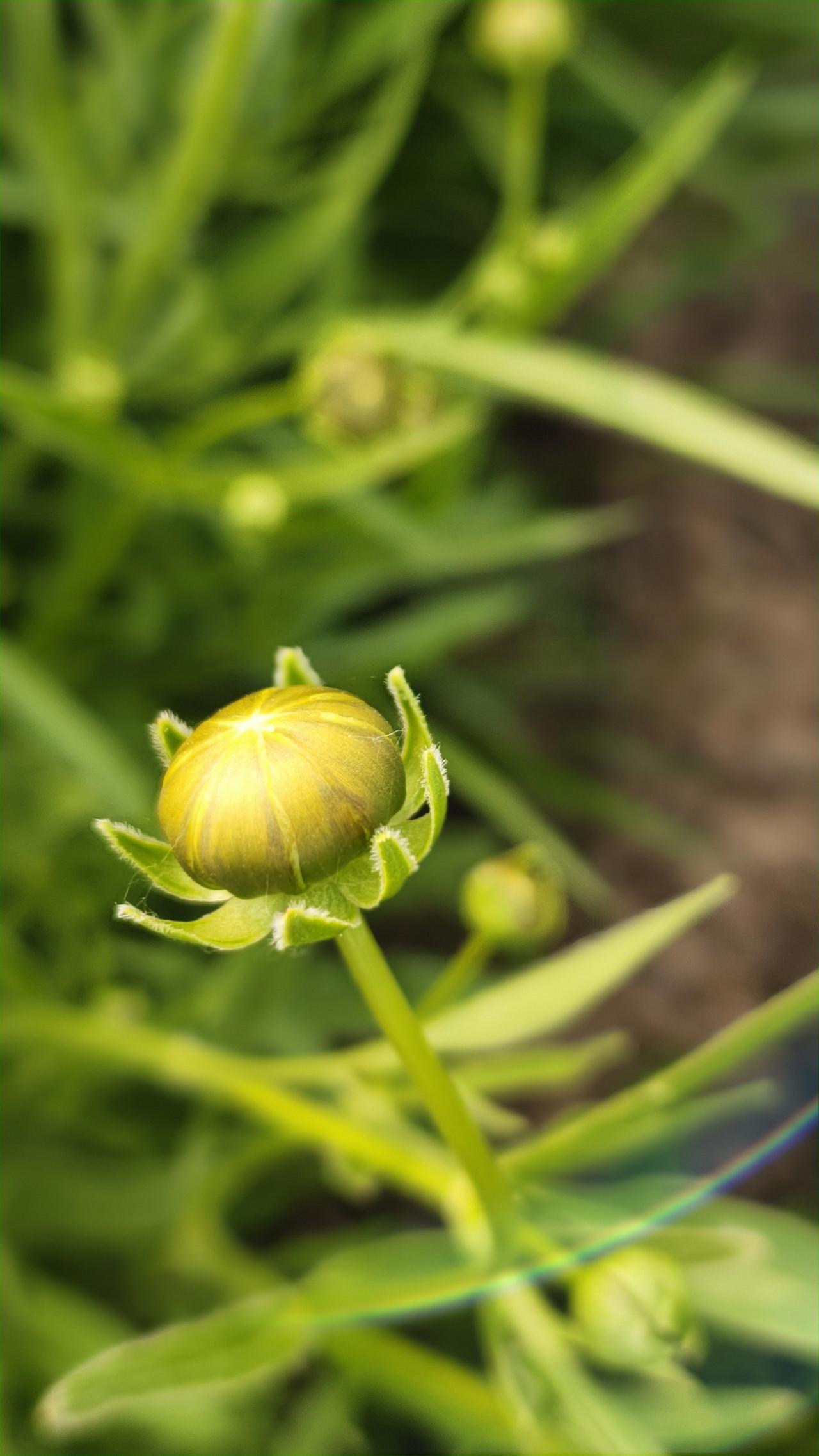 你所有的情绪都会转化成身体的反应。
要么胃疼，要么头疼，要么后背疼；
要么失眠，