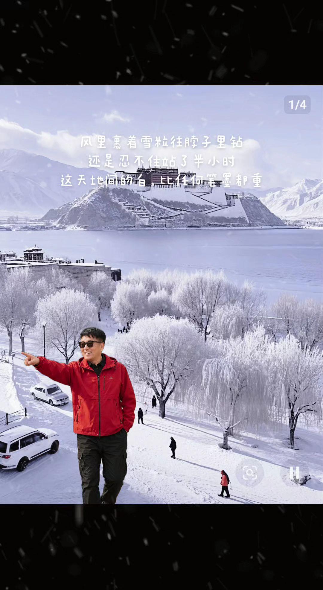 我的图片 抖音ai创作 上热门发作品