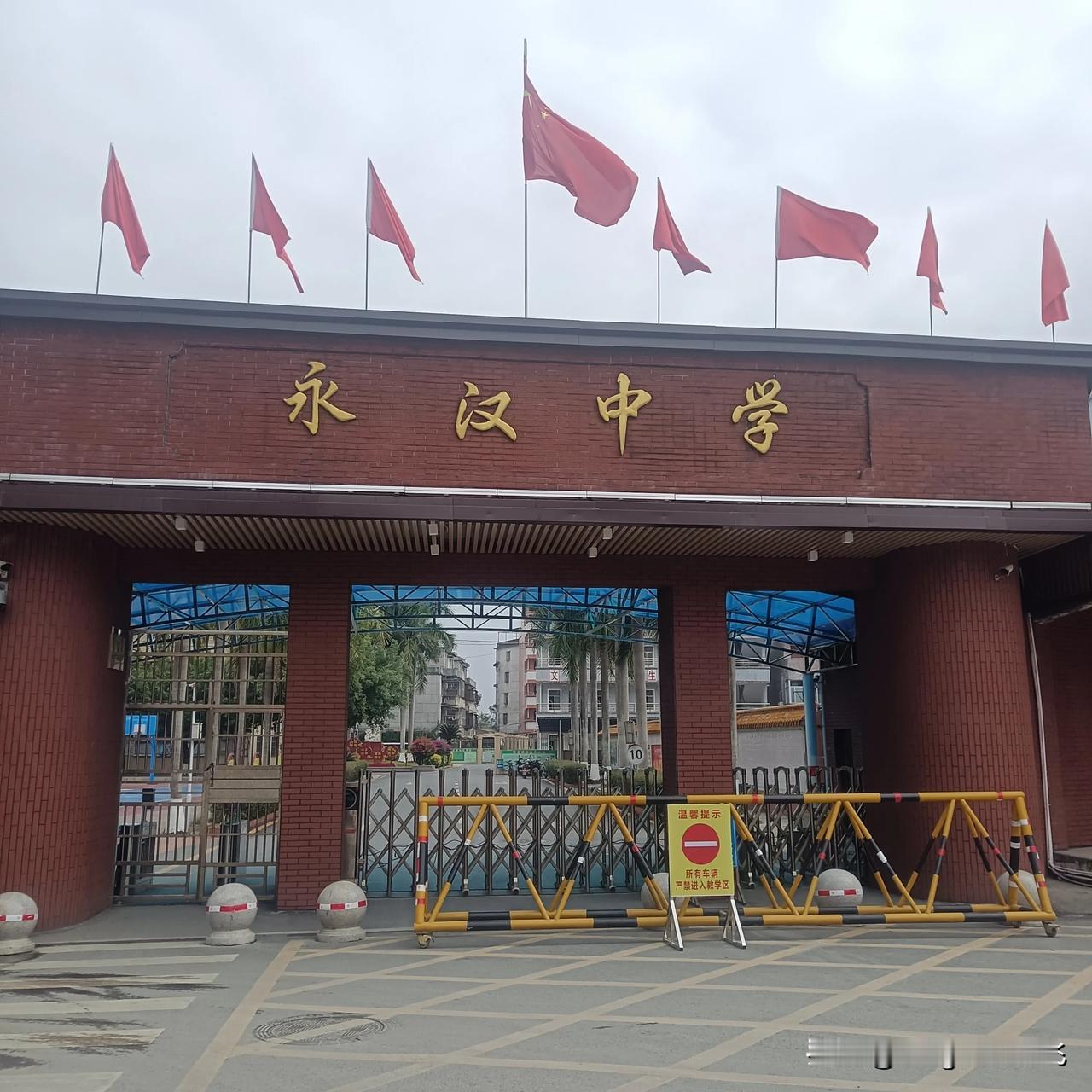 再次来到故乡镇上，站在自己曾经上学的校园门口，思绪飘远。
以前，我读中学，就在这