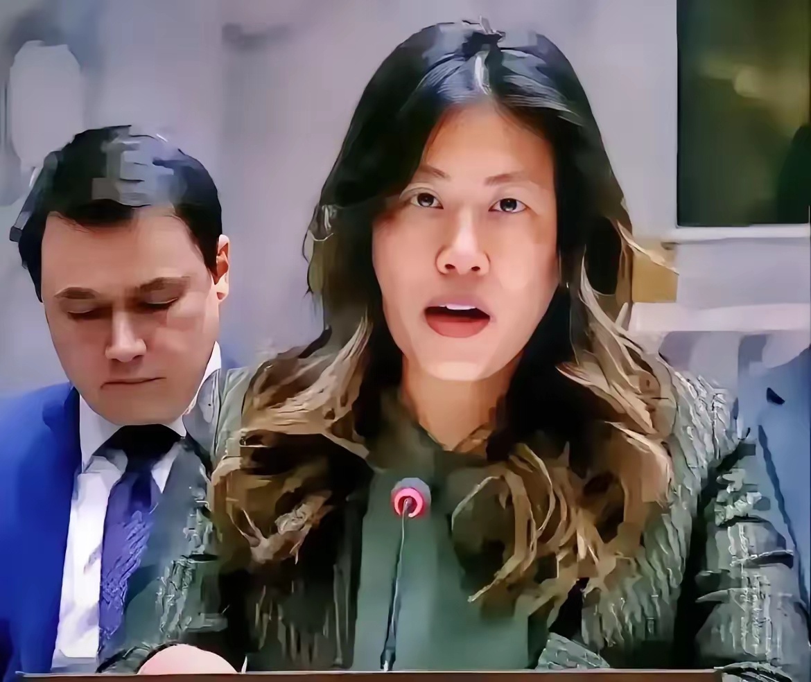 华裔二代的她，极度仇华！吴婷（原名吴雪婷），出生于夏威夷，长在洛杉矶，毕业于加州