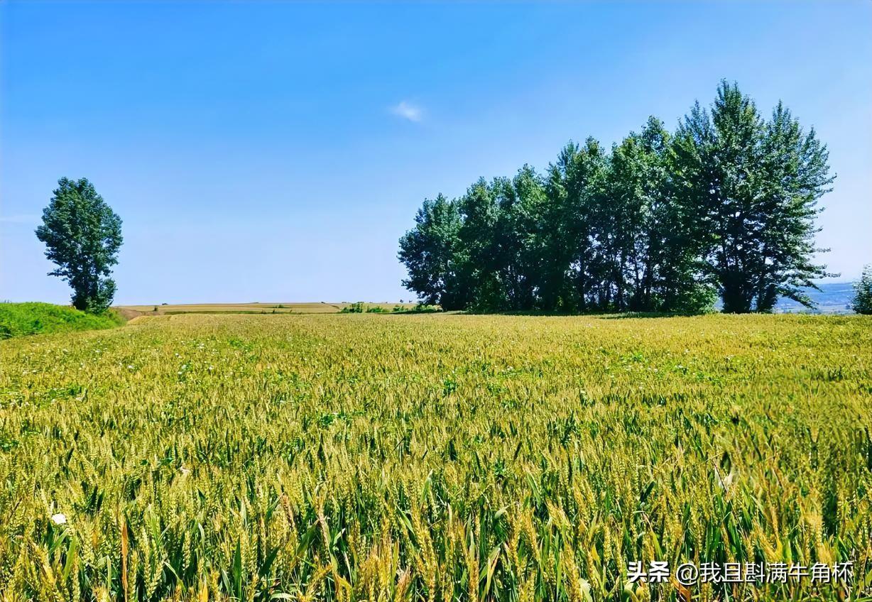 上联：白首归来交旧尽
下联：有请雅士[玫瑰][玫瑰][玫瑰]
