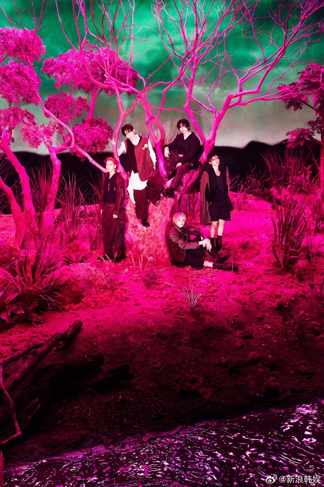 TXT迷你八辑概念照 TXTTXT组合 迷你八辑《7TH YEAR: A Mom