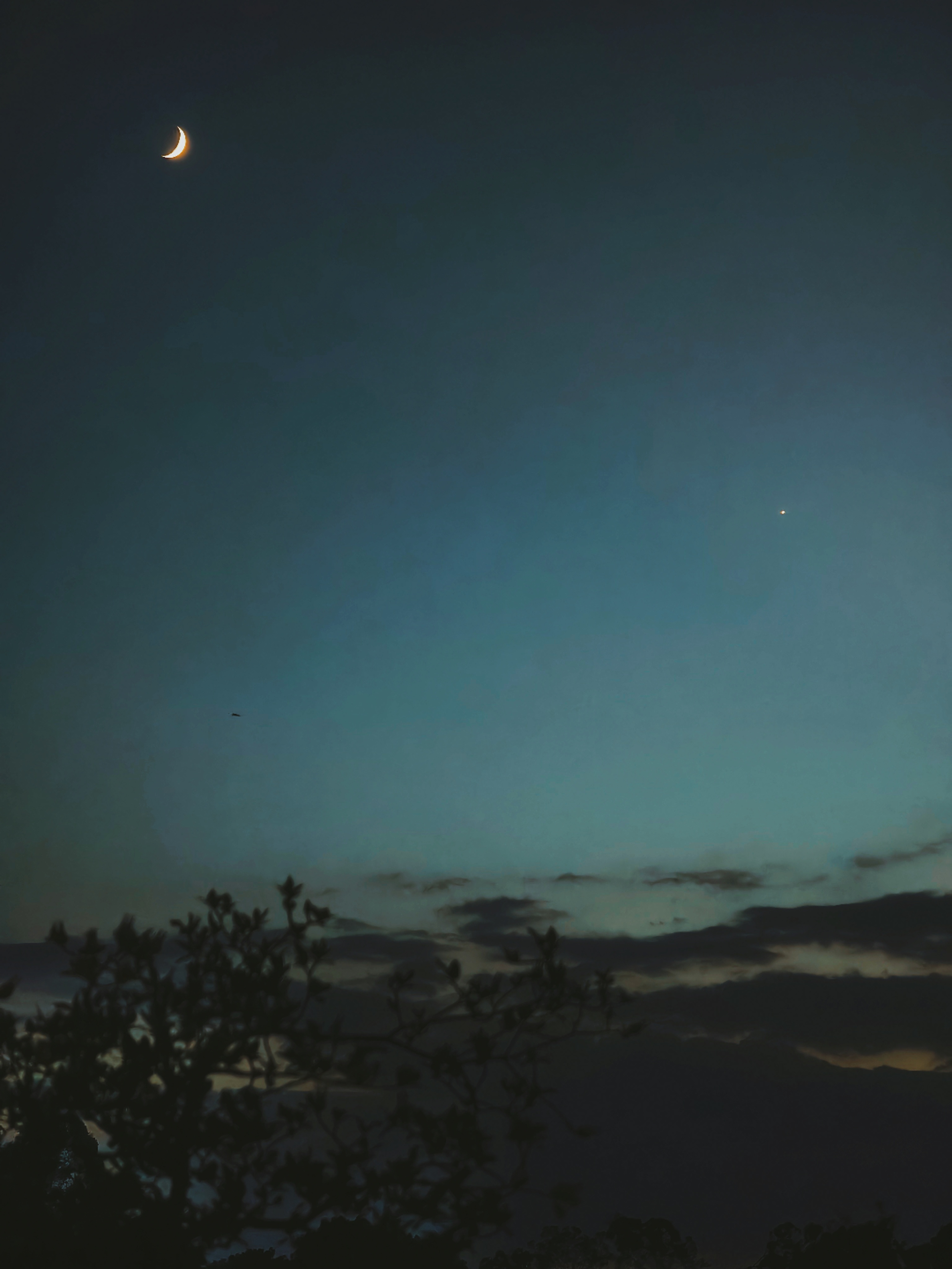 🌛⭐️ ​​​