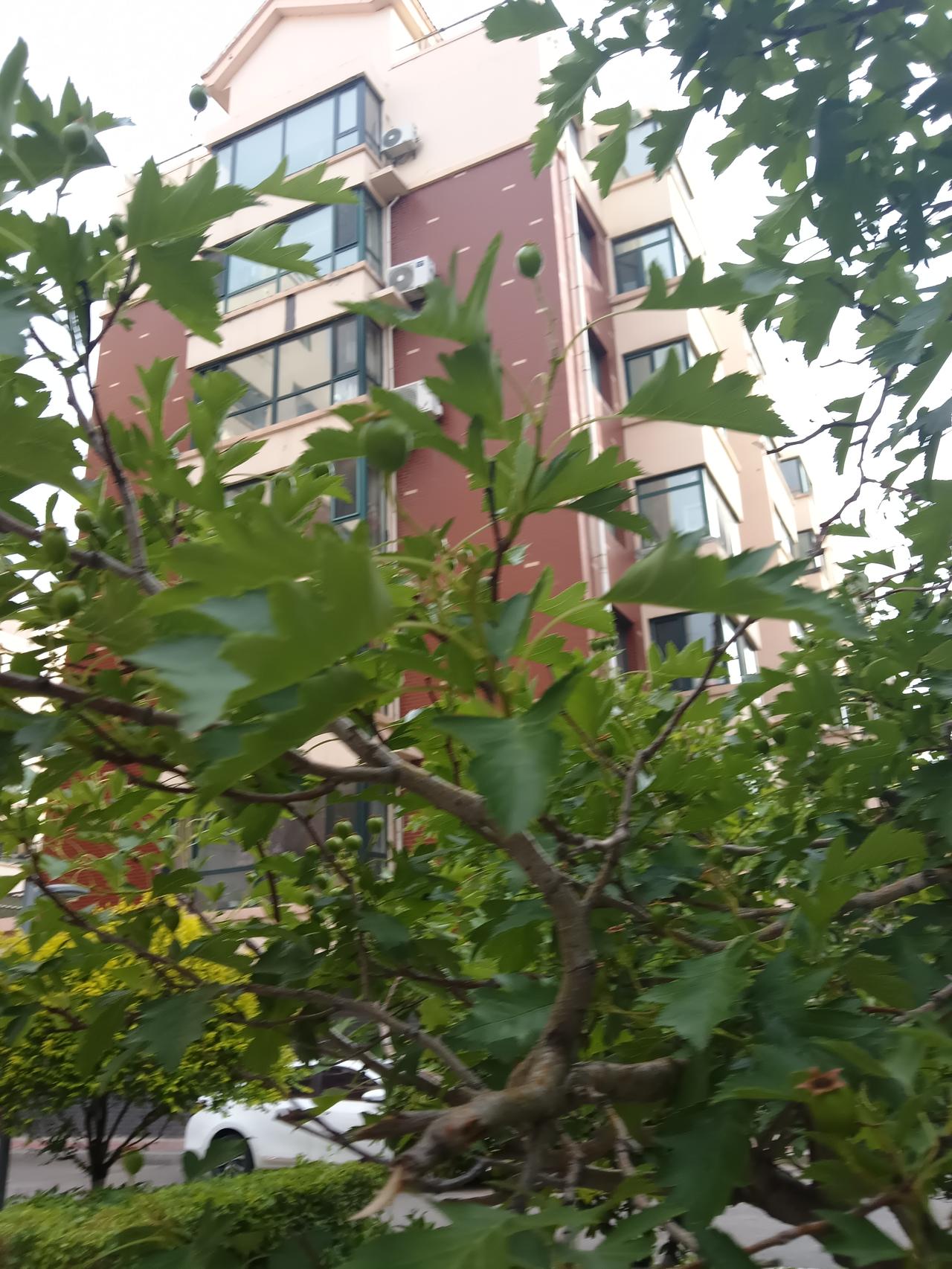 中年婚姻最容易死在哪? 中年婚姻容易“死”在这几个坎上。首先是激情消退，恋爱时的