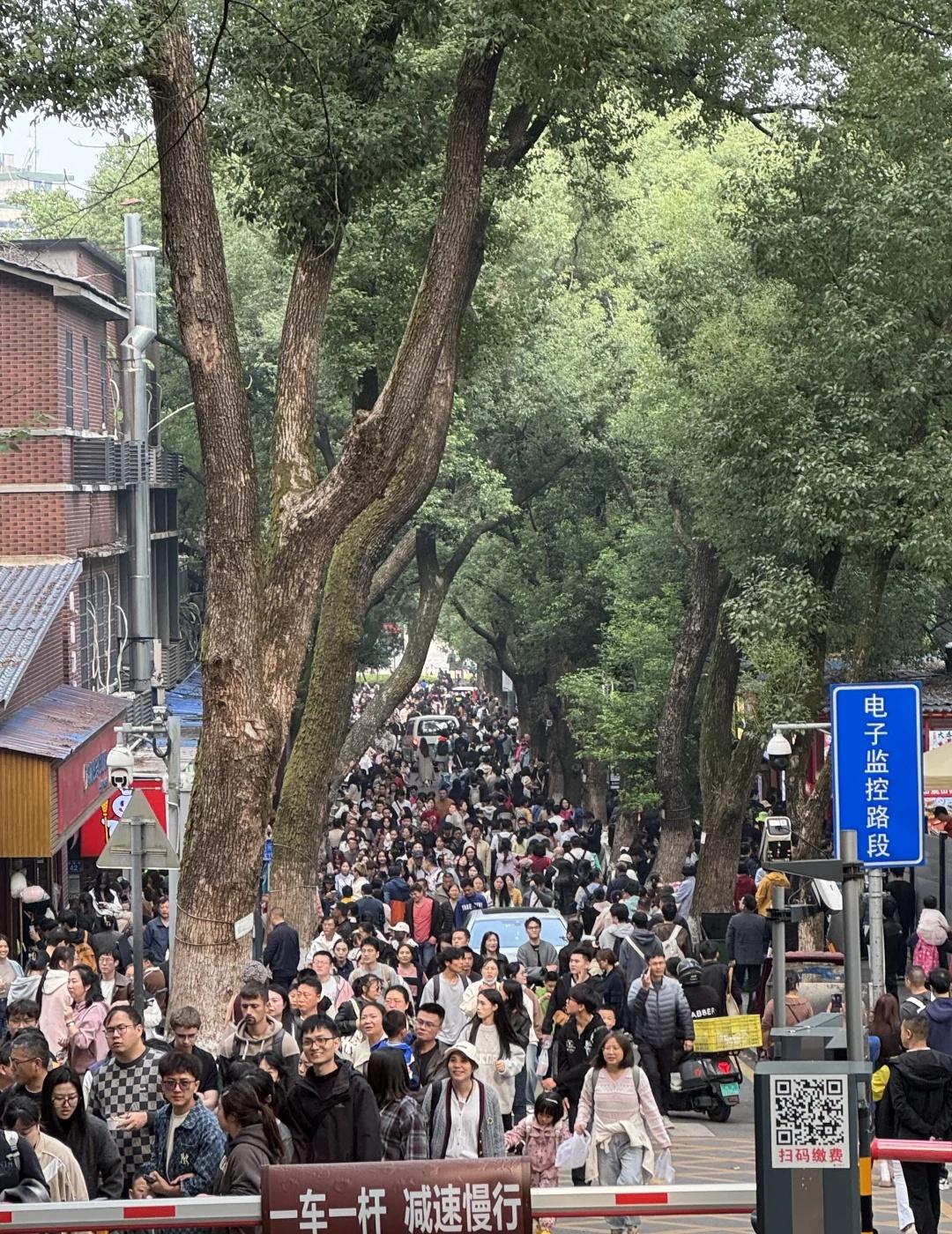 岳麓山来了一亿人
人人人人人人到处都是人 爱晚亭枫叶 一起去看人山人海 旅游看人