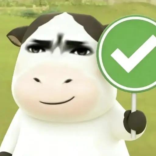 理解自己的局限性！