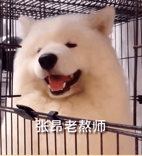 龚俊 cpf 是不小心划到都会停下来点开笑三声的程度了🤣🤣🤣龚俊cpf
