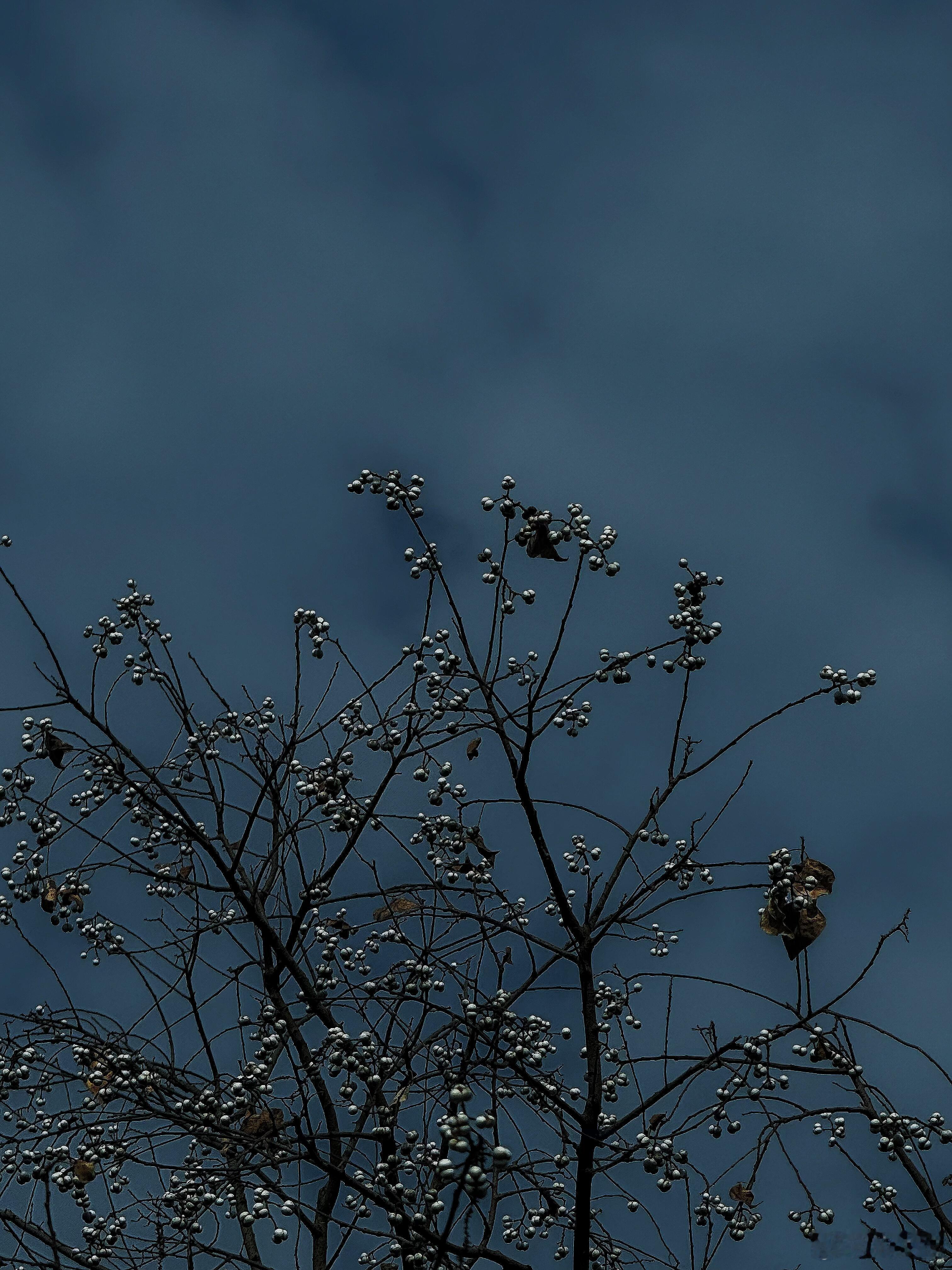 其实，选错了就选错了，不要总是一遍遍去想如果当初，人生不可能每个选择都正确，很多