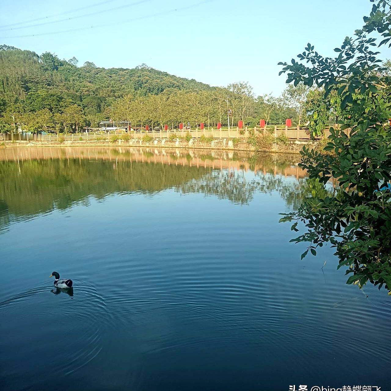 成都小伙阿哲上周刷到暗恋对象订婚宴视频，手机攥得发烫——三年前没说的那句“喜欢”