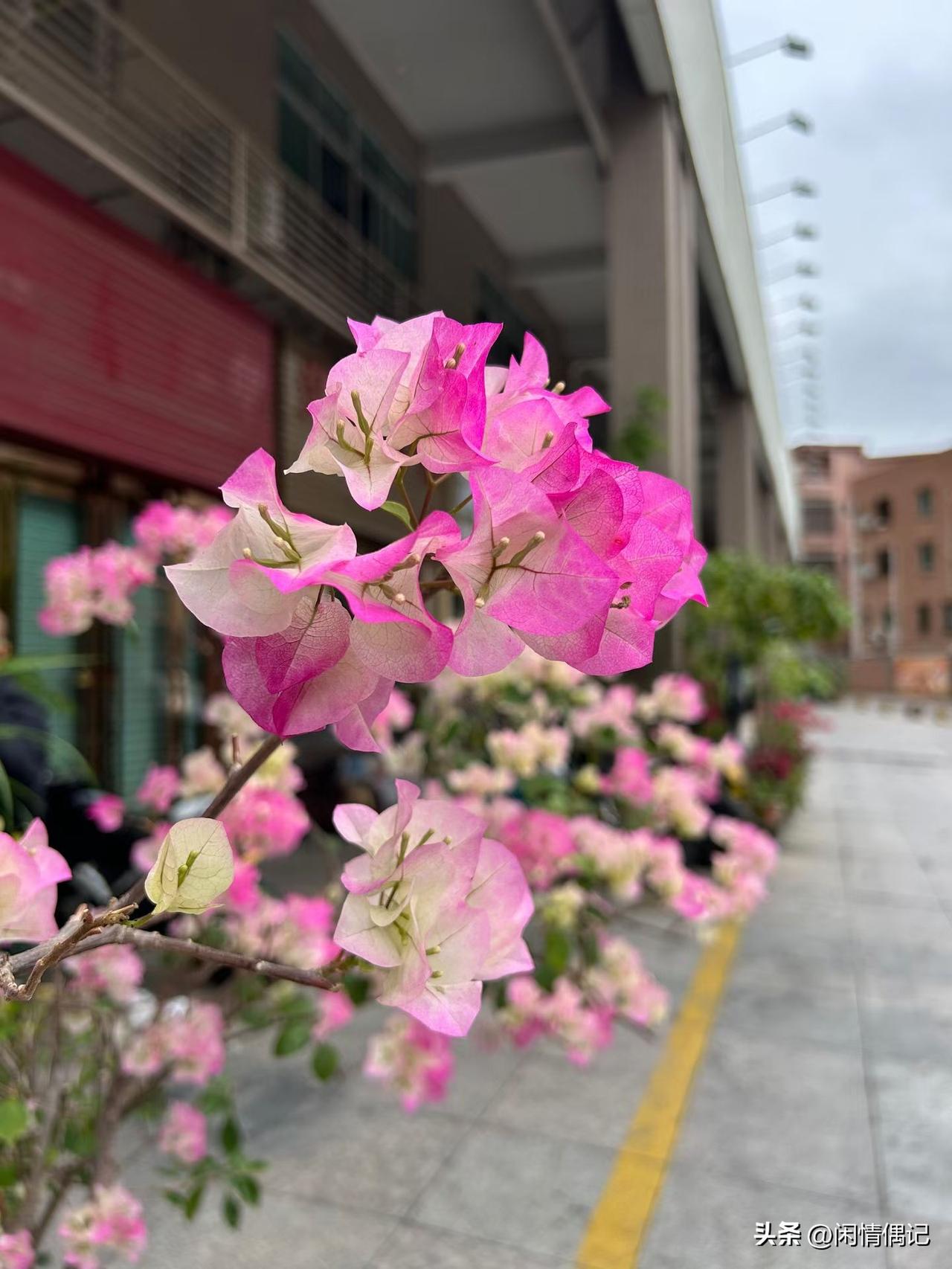 刘震云说：人要是过度节省，舍不得吃，舍不得穿，省下来的不是钱，而是一个廉价的人生