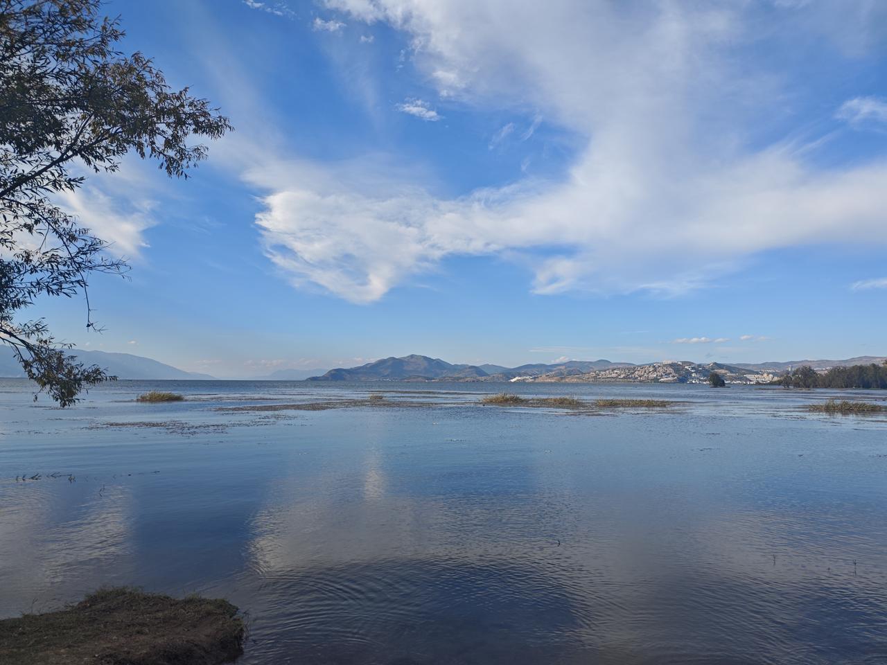 住宿洱海畔

下午两点半，来到了洱海之畔，停下车走近水边，远望一片蔚蓝，近观清澈
