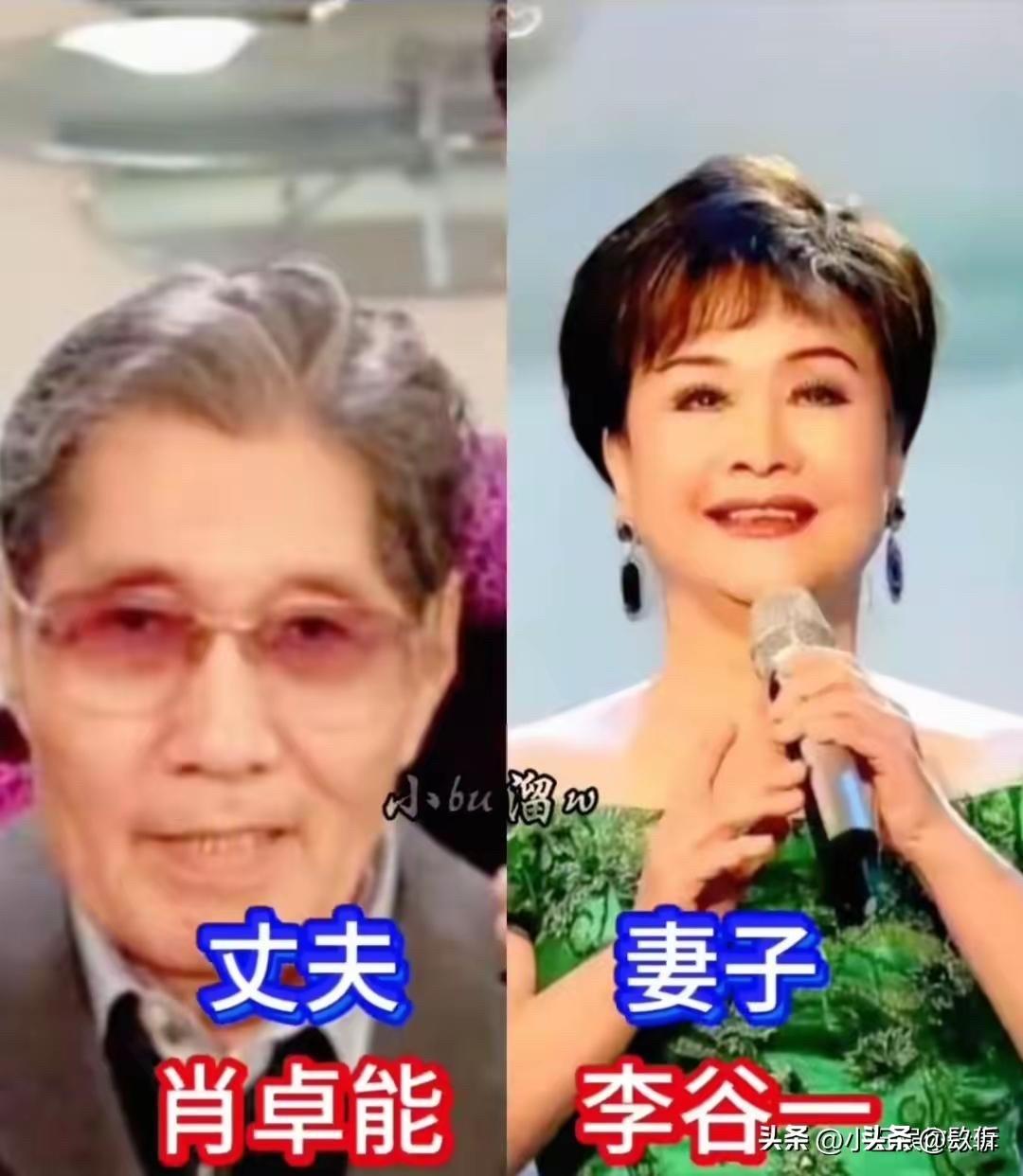 看了李谷一肖卓能、关牧村江泓、阎维文刘卫星这些歌唱家夫妻的合照，才发现他们的爱情
