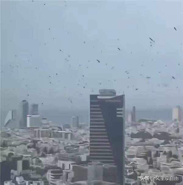 我不是阴谋论者，但以色列乌鸦这事，犹太教徒看了都心里发毛
我从来不爱瞎扯什么异象