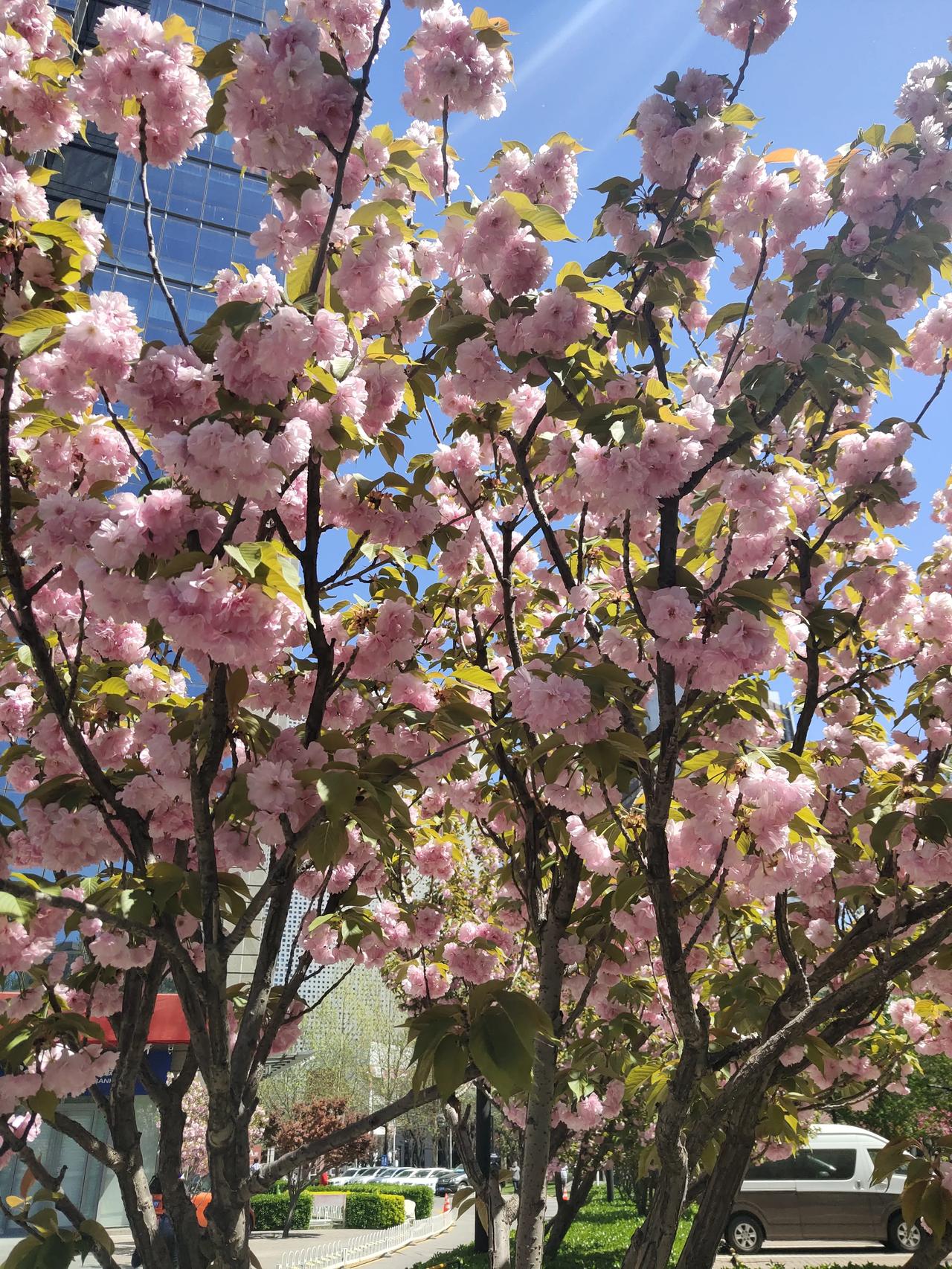 分享一下你觉得最满意的一张风景照，有吗