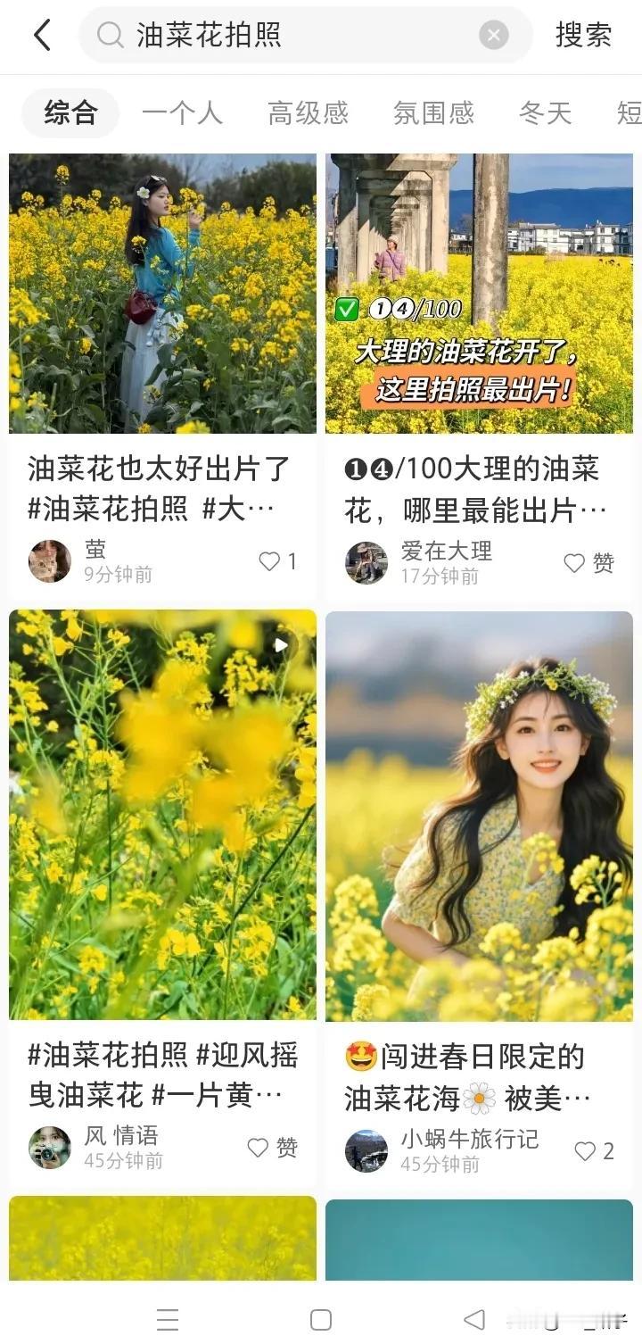 好想拍油菜花啊[流泪][流泪][流泪]
