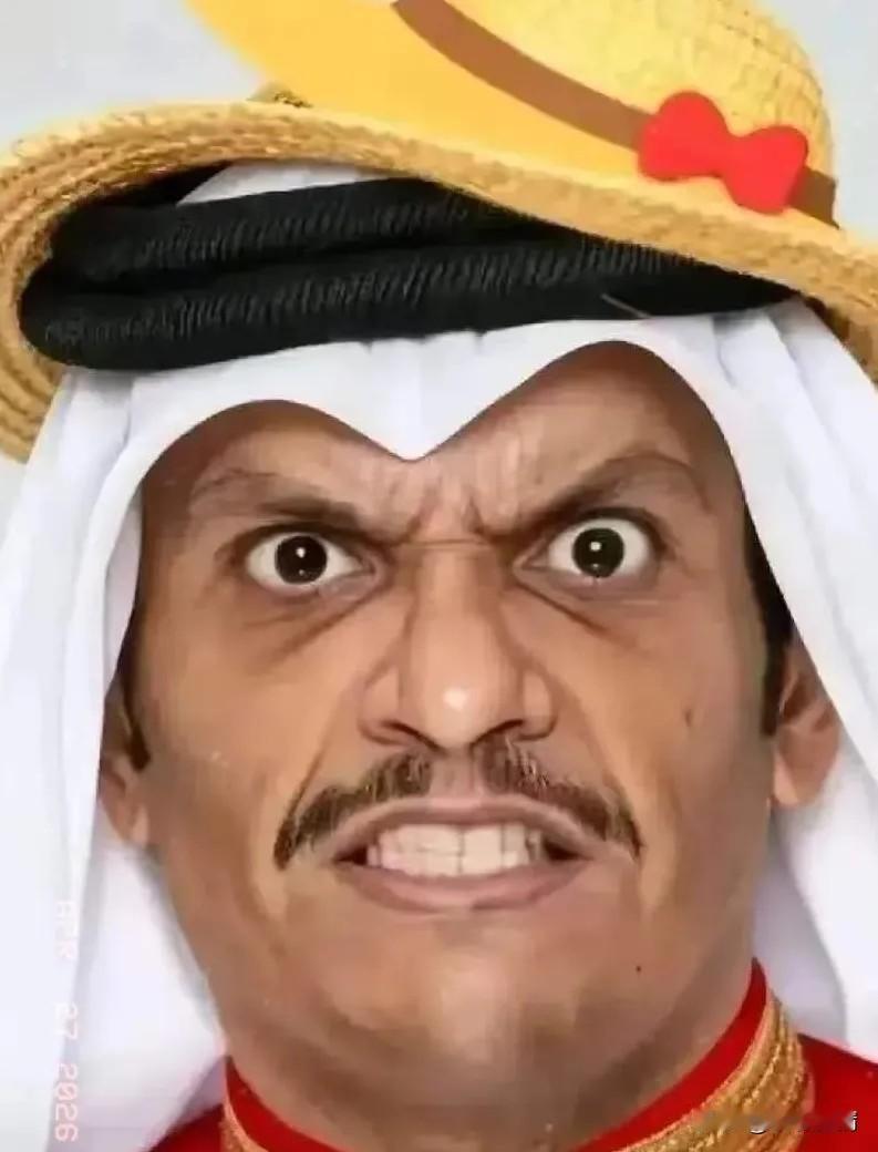 卡塔尔传来消息。

4月28日，卡塔尔外交部发言人安萨里突然表态：坚决反对把霍尔