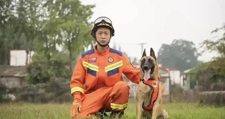 四川眉山消防搜救犬“青龙”退役，面向社会招募领养人：82份申请58份有效，最远来自法国