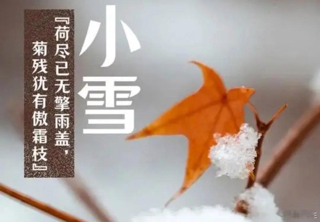 小雪到了  小雪节气该吃啥 今日小雪，别忘了补阳！①羊肉——冬季补阳的佳品。②鸡