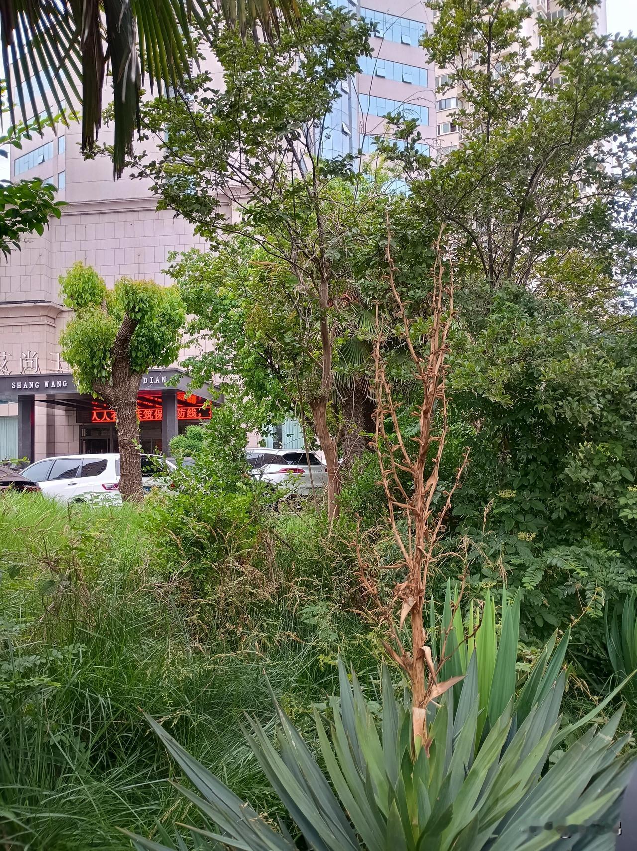 我认为应该支持男性拥有育儿假，也可以代替女性休育儿假。男性除了没有孕育孩子的子宫