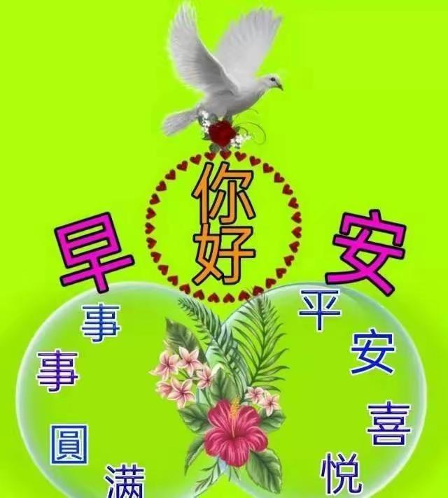 南浦诗联微信群交流录51
 
 作者：余子善

  七绝·美加墨世界杯十六分之一