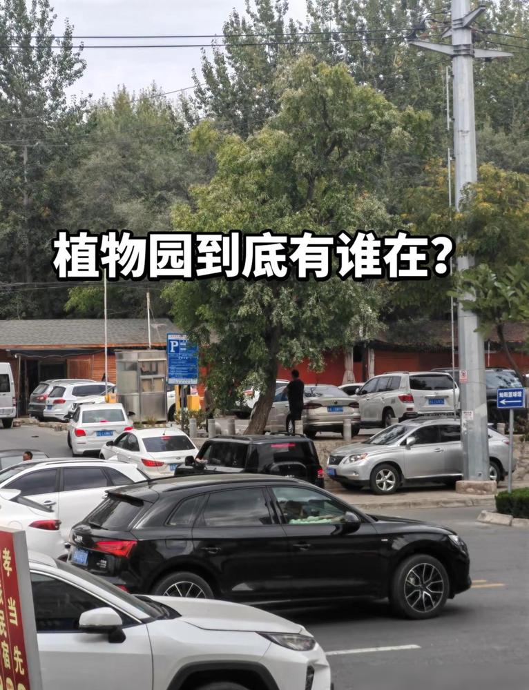 兰州植物园人多车多，停车场保安大爷嗓子都喊哑了。

大家盯着的是植物园有多热闹，