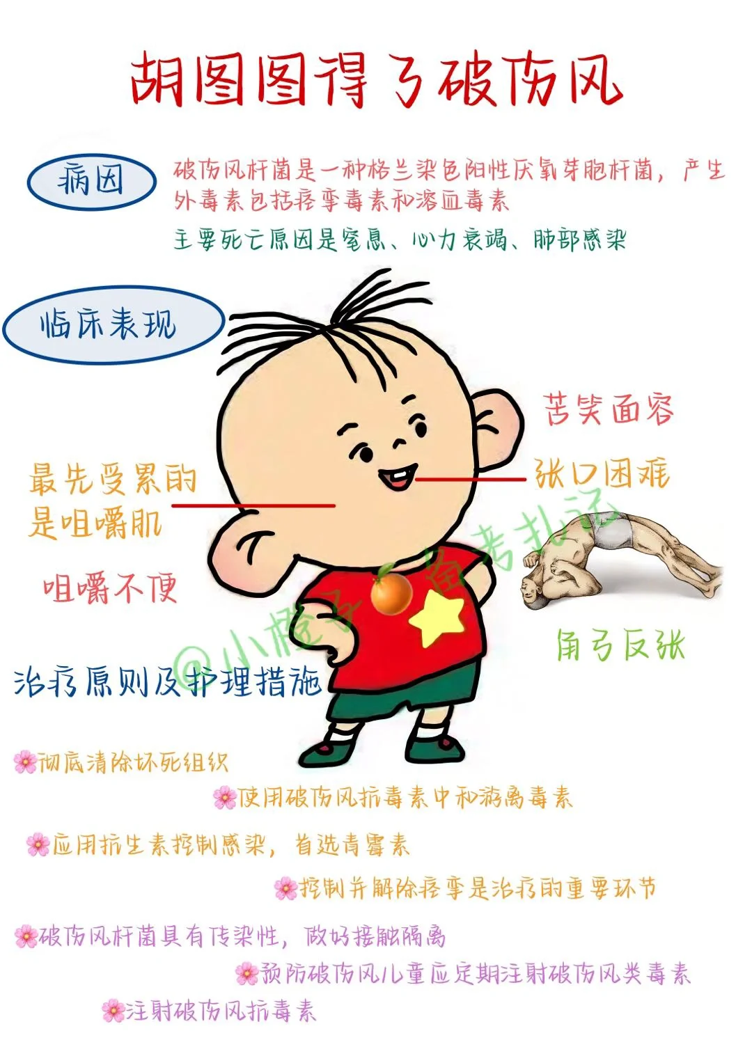 📖护师笔记｜外科护理学｜破伤风😫