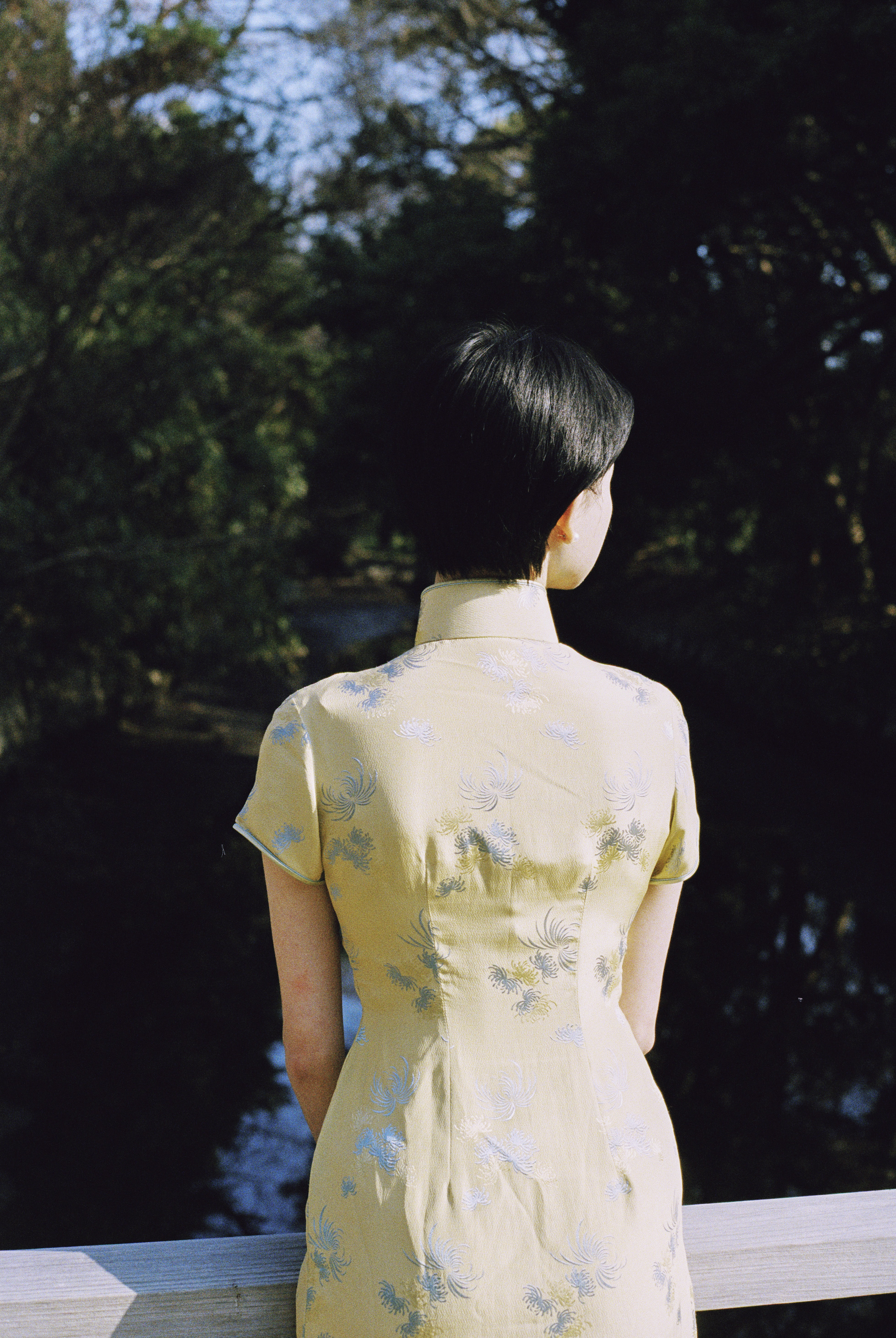 早春，和Heather在公园散步。 她穿了一件青黄色的旗袍，和早春是同一个颜色: