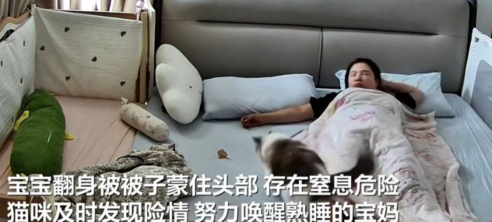 “万物皆有灵！”山东，一婴儿翻身时不慎被捂，熟睡的妈妈却浑然不觉。生死瞬间，家猫