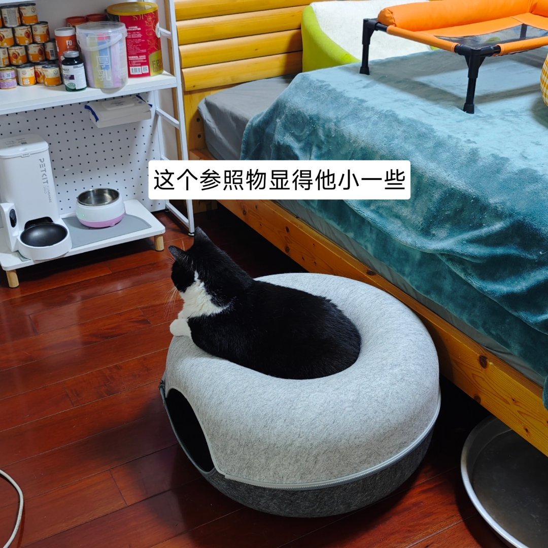 可爱宝宝，一到时间会自己进房间：妈，别熬鹰了，我要睡觉了 