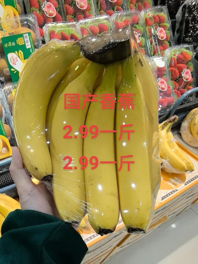为啥大型商超很少卖国产香蕉？真相扎心但很现实

逛超市发现一个奇怪的现象：货架上