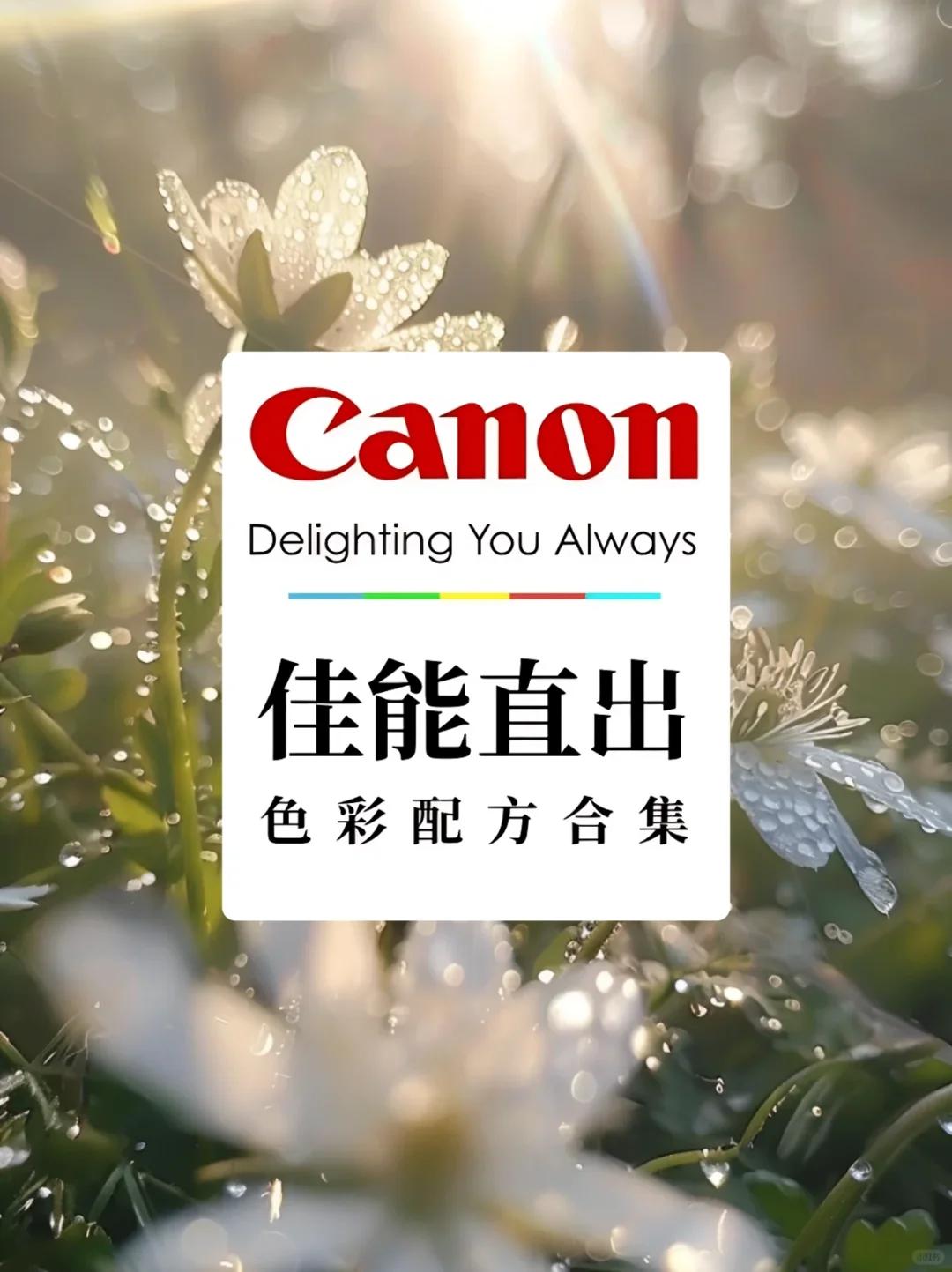 佳能用户都给我学！我不允许你还不会调参数。