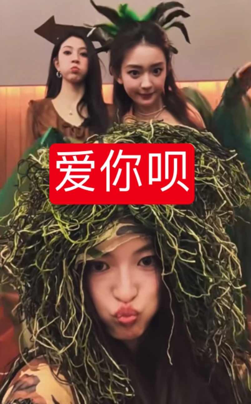 首先我致歉一切 以下发言是莪胡言乱语其次霏马彤可以改名马伊琍（马仪丽）了 