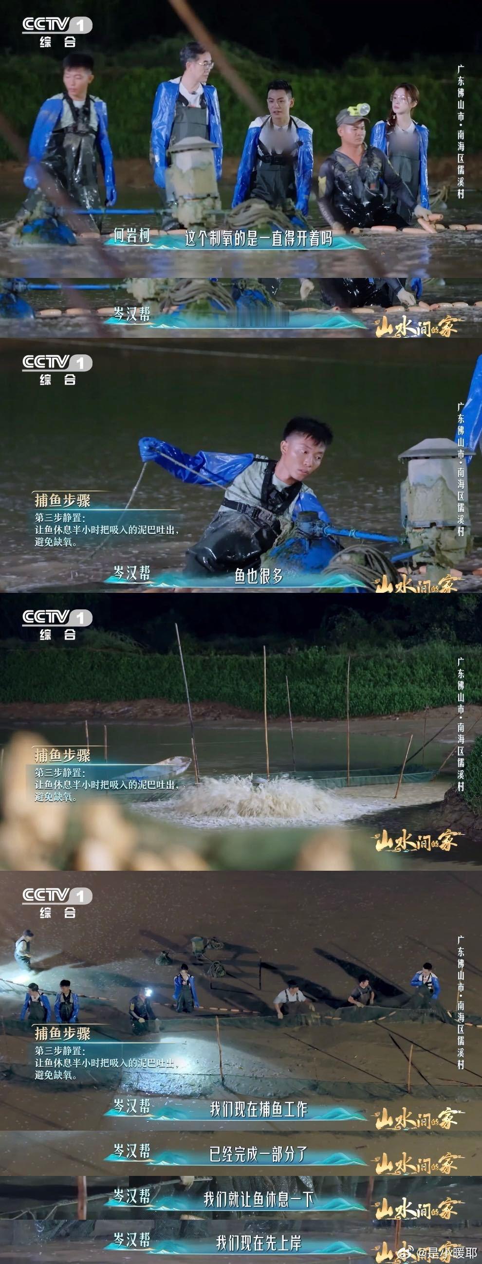 天刚蒙蒙亮，佛山鱼塘就忙开了！鱼儿顺着“电梯”争先恐后上岸，渔民们手不停歇分拣打