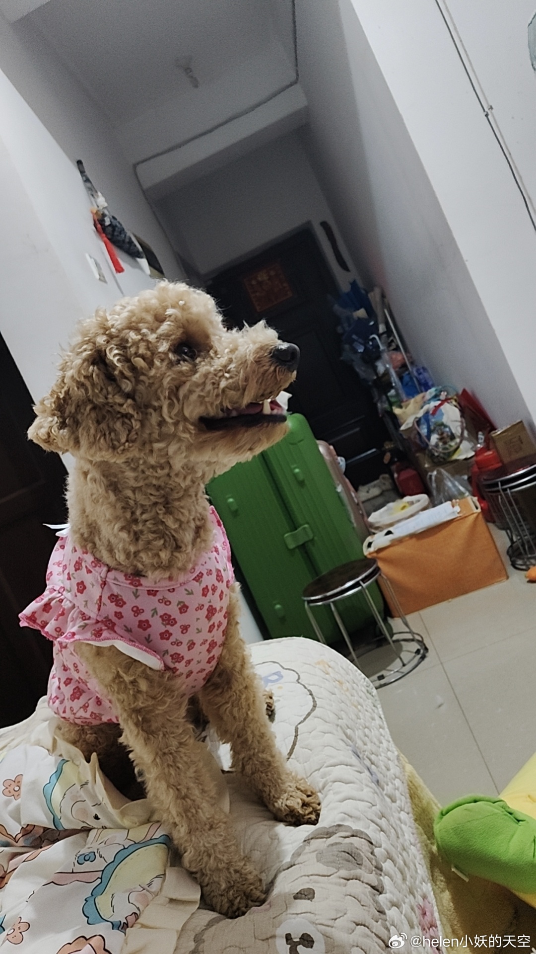 helen小妖的天空[超话] 每天都要看我家小宝的照片，小样子可爱极了 ​​​
