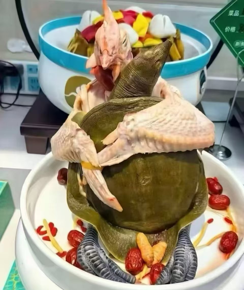 乐 ​​​